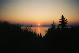 Joy Sunday Instagram - again with the developed negatives a month late