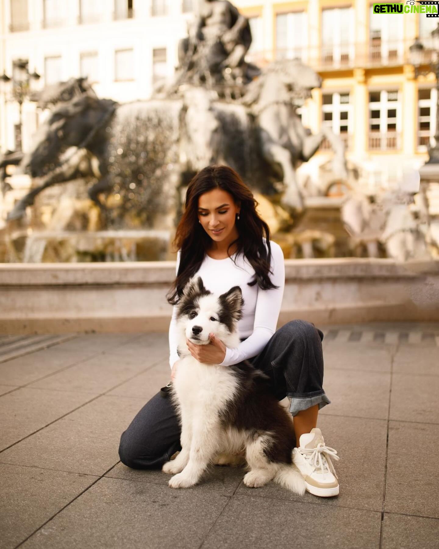 Julie Ricci - 18.6K Likes - Petit câlin avec Bolt, il a trop une bonne bouille.
Avez vous des animaux de compagnie ?