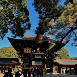 Juri Ueno Instagram - 新年、あけましておめでとうございます⛩🎍🌅🐍

明日はフジtvドラマ「監察医　朝顔　新春スペシャル」が
夜9時から放送です📺🌃

2年ぶりの放送となります。
子供達も成長し、オリジナルキャスト全員勢揃いです♪
ぜひご覧ください👘🏔️😊

みなさんにとって、素晴らしい一年となりますように🌿
今年もどうぞ、よろしくお願い申し上げます💐🙇

#監察医朝顔
@shunsukekzm 
@yuzuna_nagase
#中村千歳