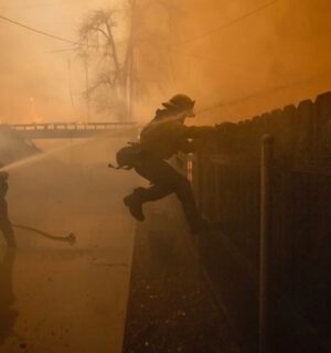 Katrina Scott Instagram - Look for the helpers ❤️‍🩹 

In the last few days, we have heard from friends who have lost their homes and everything inside. They’re not only displaced, but everything that they love, and that is sentimental to them, is gone. Their community, small businesses, and everything they know is devastated by the fires. 

Our hearts ache for everyone we know and the thousands of people that we don’t… we just keep reading their stories and doing everything we can to help, donate, and gather supplies. 

I will continue to link to organizations, verified GoFundMe accounts, and people in the community making a difference on my stories. If you know of anyone that needs help, please don’t hesitate to DM me. 

We are in awe of all the firefighters, pilots, first responders, restaurants, neighbors and everyone who is helping. You are angels 🤍 Our hearts are heavy and with everyone affected. 🙏🏼 

Thank you for the outpouring of messages. We are safe in Manhattan Beach (about 10 miles south) and staying inside from the smoke. We are just sad with all of you… and in disbelief. 💔

Love you… so so much. Stay safe and hold your family tight. 

Photography @time Jae C Hong 
and @ethanswopephoto