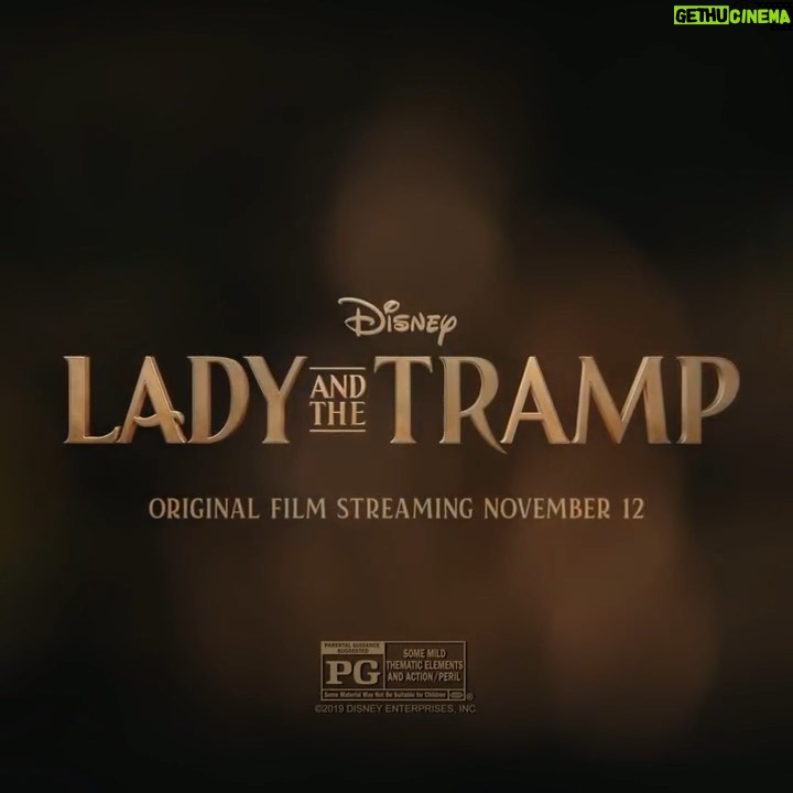 Kiersey Clemons - 20.1K Likes - Lady and the Tramp ❤️ November 12 on Disney