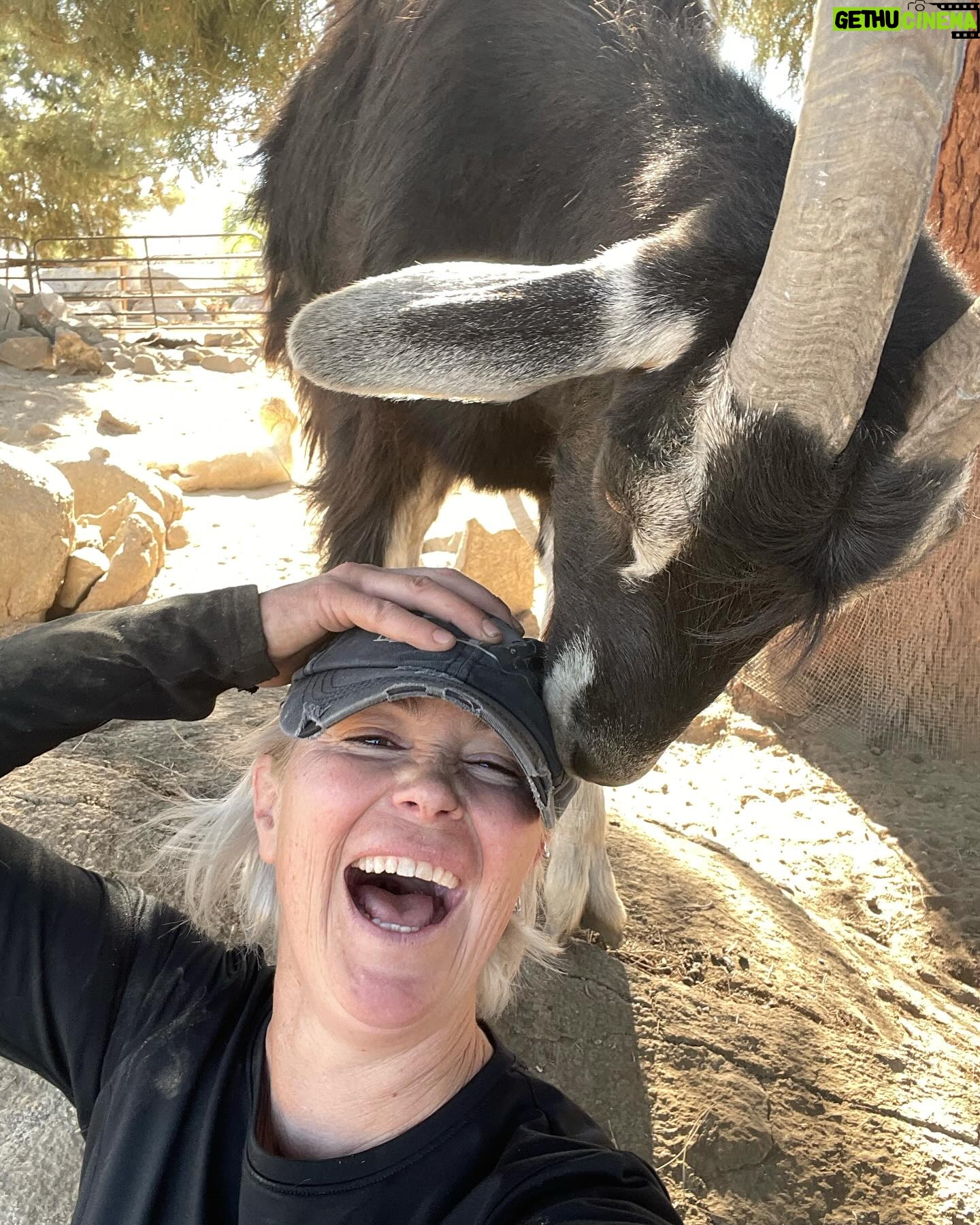 Kim Rhodes - 5.4K Likes - Greg’s NY resolution was more fiber in his diet. Specifically, cotton fiber.