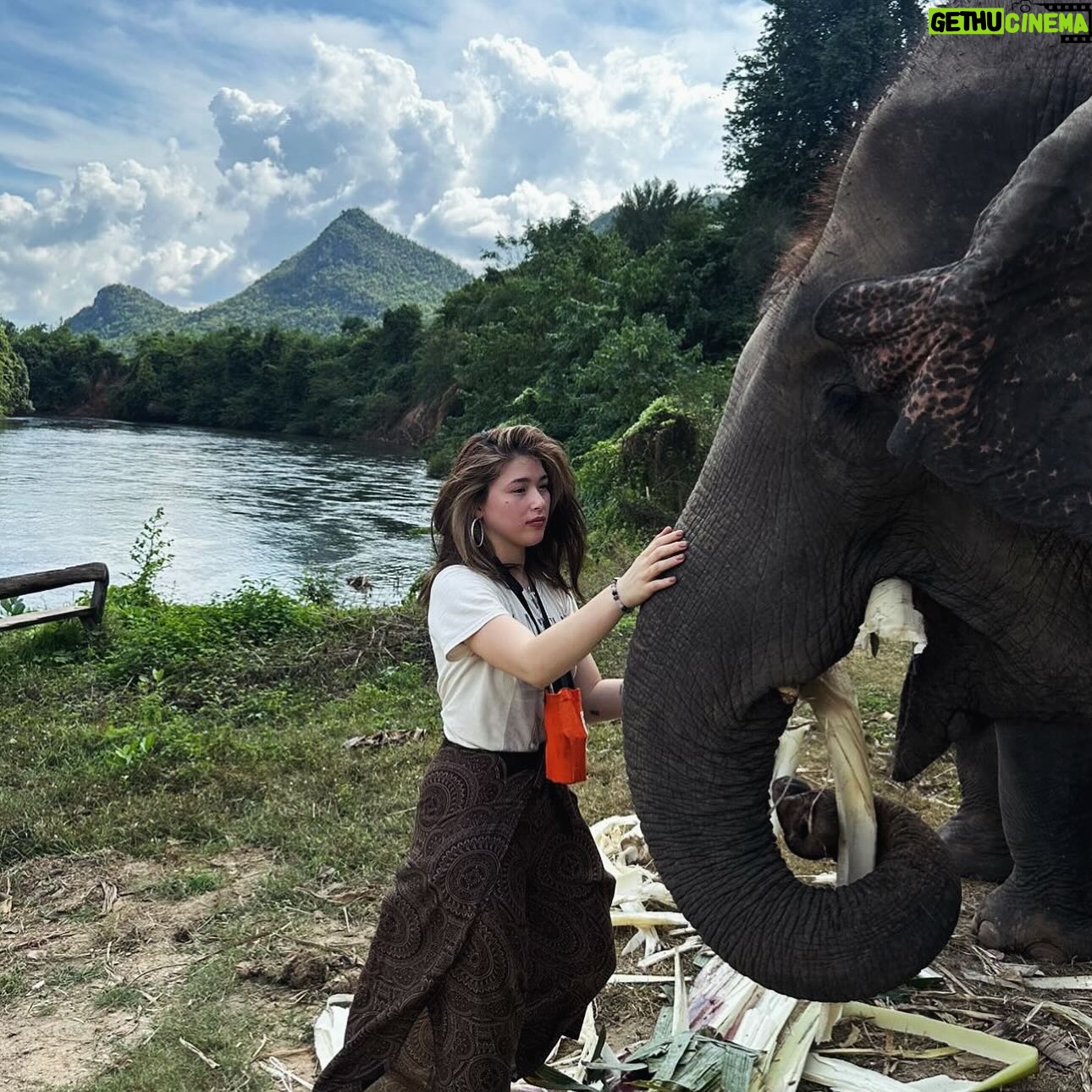 Kylie Padilla - 89K Likes - 🐘 gentle giants 🐘