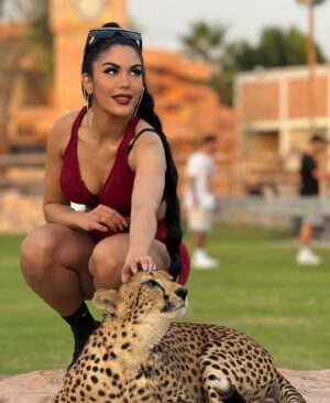 Lauren Cruz Instagram - J’ai découvert ce refuge animalier @albuqaish.jungle2 à dubai qui accueille les animaux abandonnés mais également les éduques des leur naissance. Le propriétaire m’a permis de pouvoir les toucher sous sa présence. Il les a éduqué avec amour et j’ai ressenti cela dès que j’ai mis un pied dans ce refuge. Ce n’ai pas un simple zoo mais réellement un endroit où les animaux reçoivent l’aide et l’amour dont ils ont besoin. ❤️ j’oublierai jamais ce moment, où la peur et l’émerveillement d’être aussi proche de ses animaux libres ne faisaient qu’un !