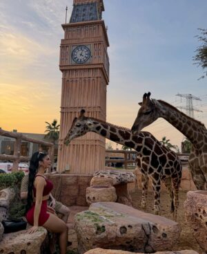 Lauren Cruz Instagram - J’ai découvert ce refuge animalier @albuqaish.jungle2 à dubai qui accueille les animaux abandonnés mais également les éduques des leur naissance. Le propriétaire m’a permis de pouvoir les toucher sous sa présence. Il les a éduqué avec amour et j’ai ressenti cela dès que j’ai mis un pied dans ce refuge. Ce n’ai pas un simple zoo mais réellement un endroit où les animaux reçoivent l’aide et l’amour dont ils ont besoin. ❤️ j’oublierai jamais ce moment, où la peur et l’émerveillement d’être aussi proche de ses animaux libres ne faisaient qu’un !