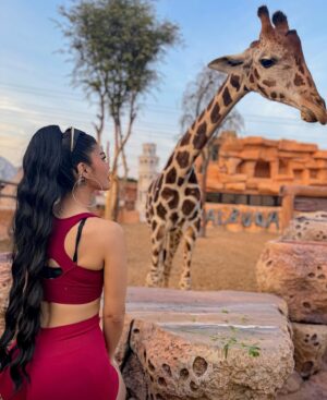 Lauren Cruz Instagram - J’ai découvert ce refuge animalier @albuqaish.jungle2 à dubai qui accueille les animaux abandonnés mais également les éduques des leur naissance. Le propriétaire m’a permis de pouvoir les toucher sous sa présence. Il les a éduqué avec amour et j’ai ressenti cela dès que j’ai mis un pied dans ce refuge. Ce n’ai pas un simple zoo mais réellement un endroit où les animaux reçoivent l’aide et l’amour dont ils ont besoin. ❤️ j’oublierai jamais ce moment, où la peur et l’émerveillement d’être aussi proche de ses animaux libres ne faisaient qu’un !