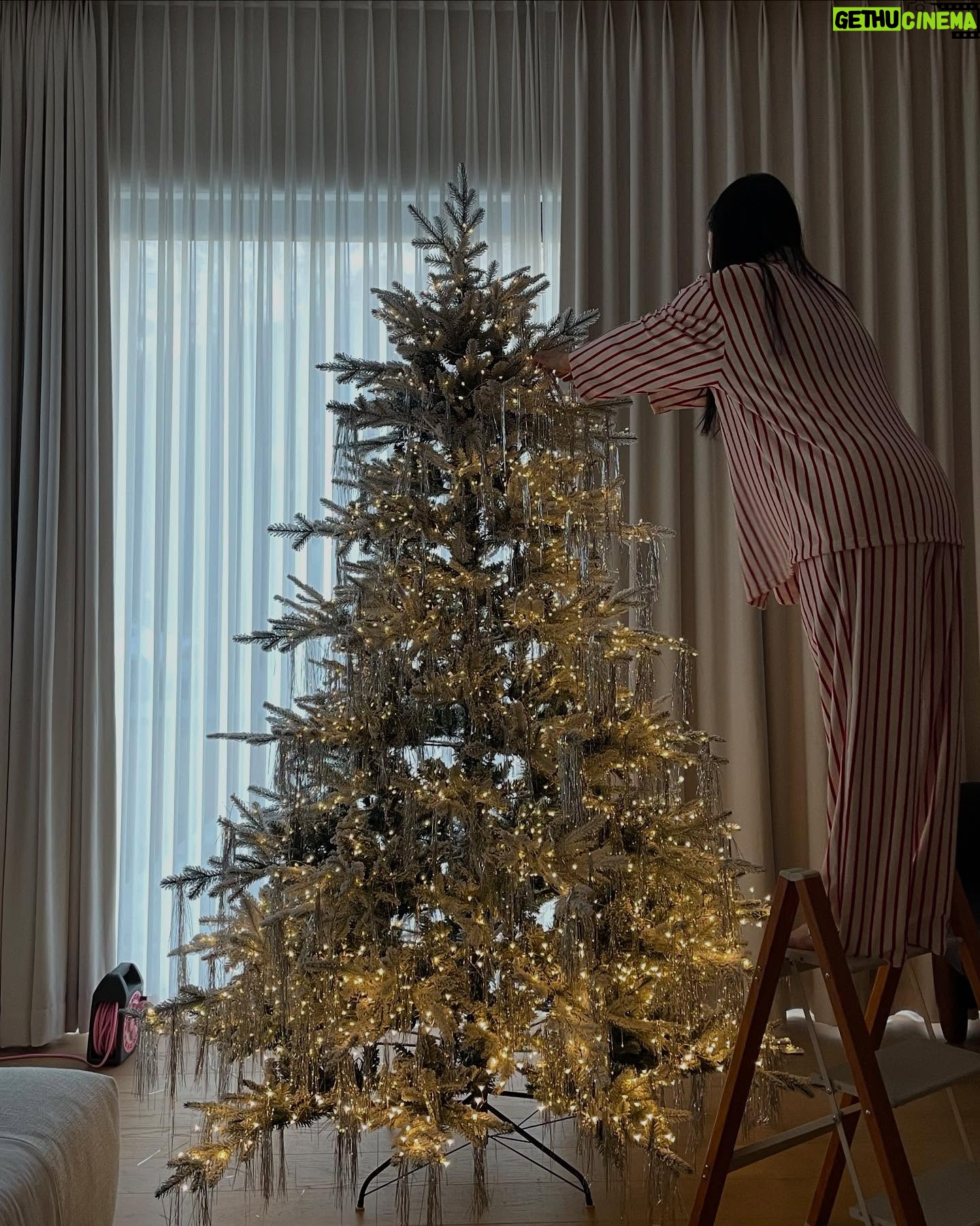 Lee Hae-ri - 35.2K Likes - 불태웠다 진짜🔥
철수 없어요.
1년 동안
매일 크리스마스 할게요
-크리스마스 도라이-
앗 그리고 크리스마스 선물 하나 준비했는뎅…🫣