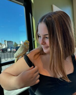 Lexi Rabe Instagram - Made a friend today @panerabread #cutest bird ever! When an unexpected surprise at Panera Bread!