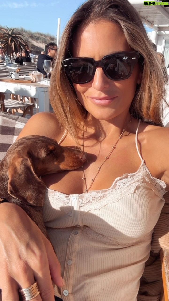 Liliana Santos - 9.6K Likes - Love 🐶🤎
@solthesunshine
#saturday #winter #beach #princesa #sol #lunch #love #family