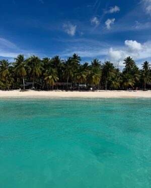 Liliana Santos Instagram - Um dia pela ilha da lagoa azul 🐚

#saona #island #beachlife #newyear
