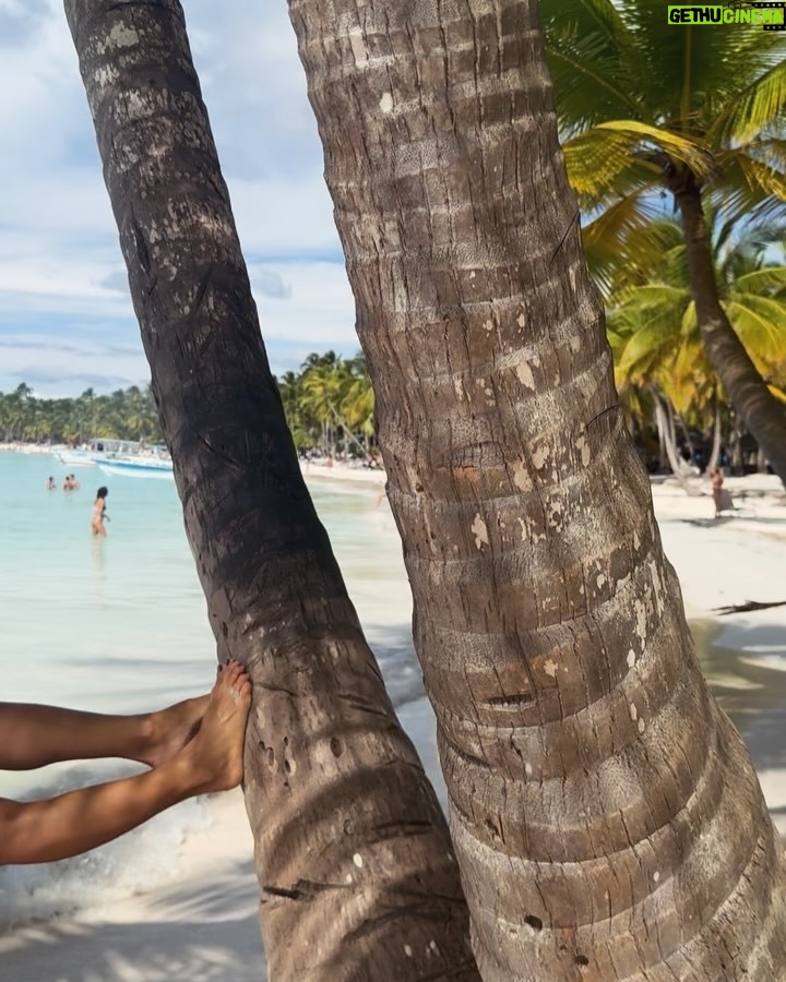 Liliana Santos - 13.9K Likes - Um dia pela ilha da lagoa azul 🐚
#saona #island #beachlife #newyear