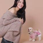 Lin Chenyi