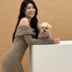 Lin Chenyi