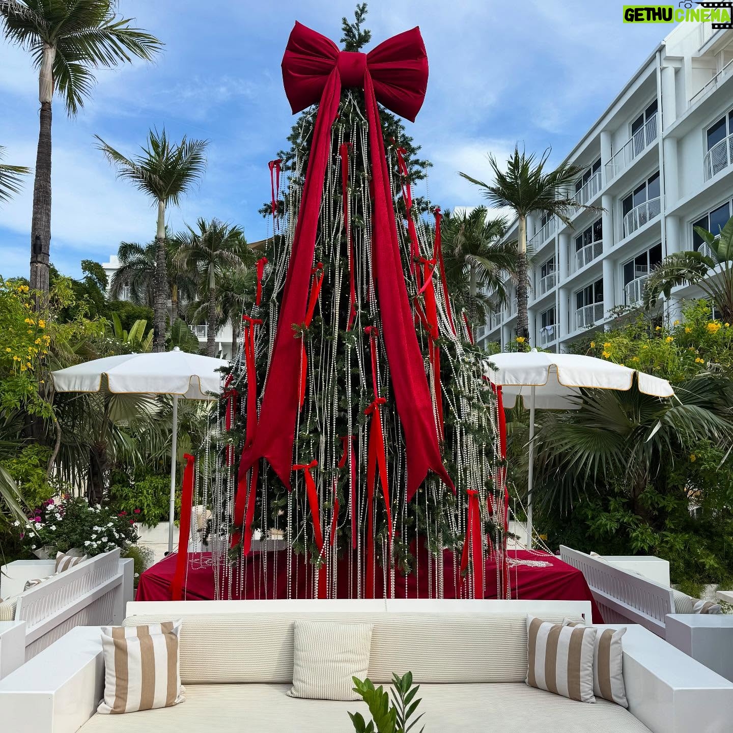Lisa Rinna - 31.5K Likes - 🌴🌈🏖️☀️👙🍔