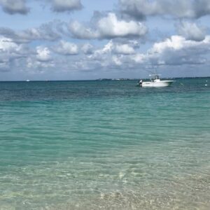 Lisa Rinna Instagram - 🌴🌈🏖️☀️👙🍔