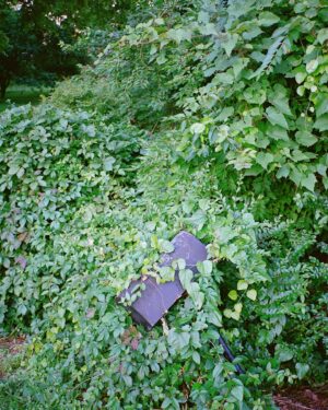 Lucy Dacus Instagram - more film from 2024