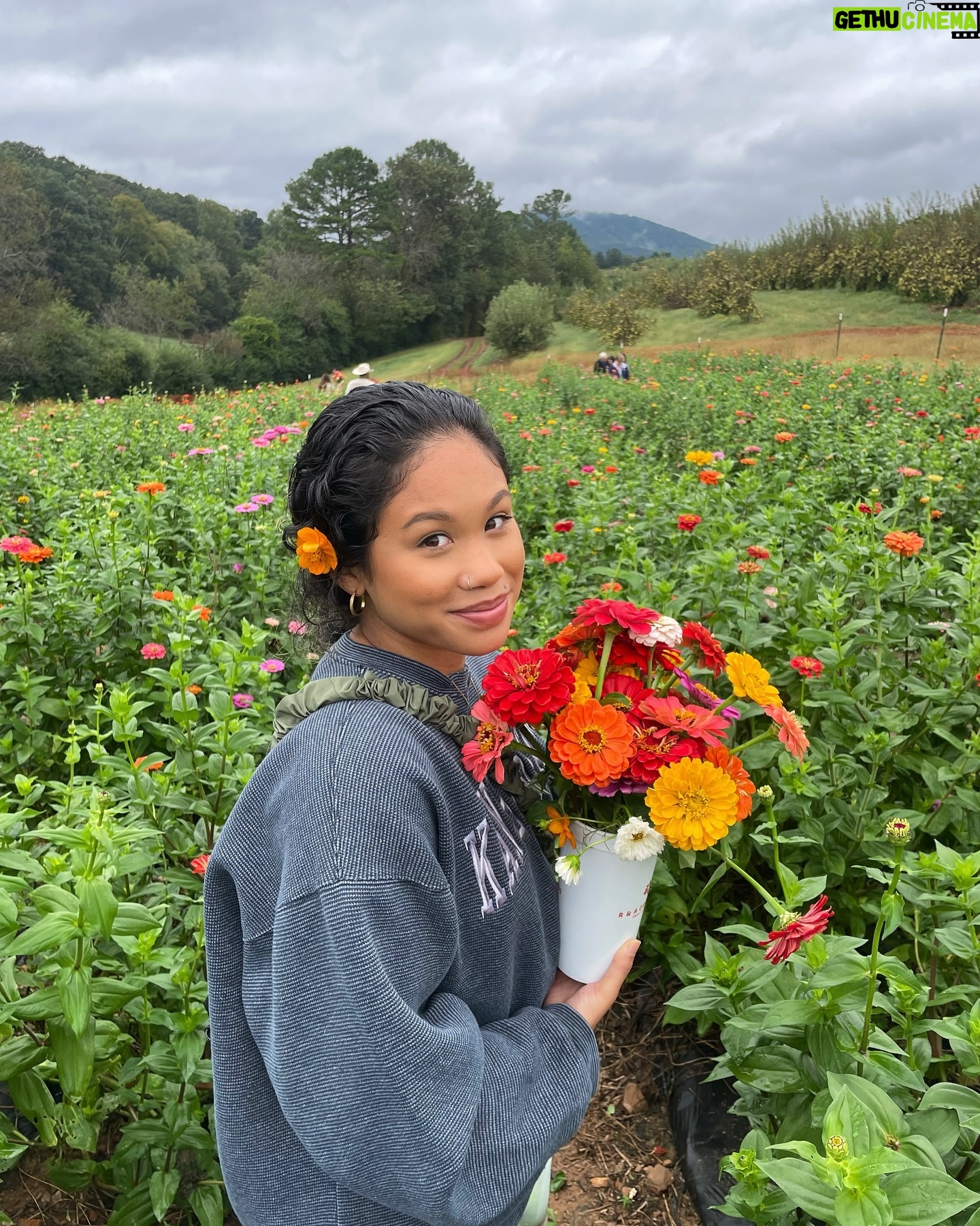 MK xyz - 4.2K Likes - Fall SZN is my fave🍁🍂