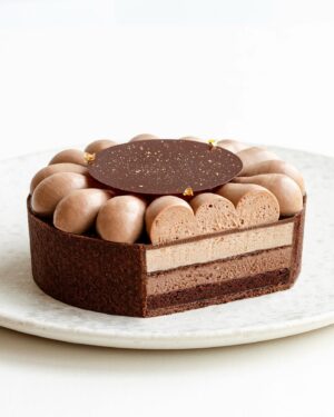 Maja Vase Instagram - Chocolate coffee ice cream tart ☕️🍫🍦🤎 Soo creamy, crunchy, fudgy, crispy, and cold ✌🏻 Send a 🤎 for recipe and support!