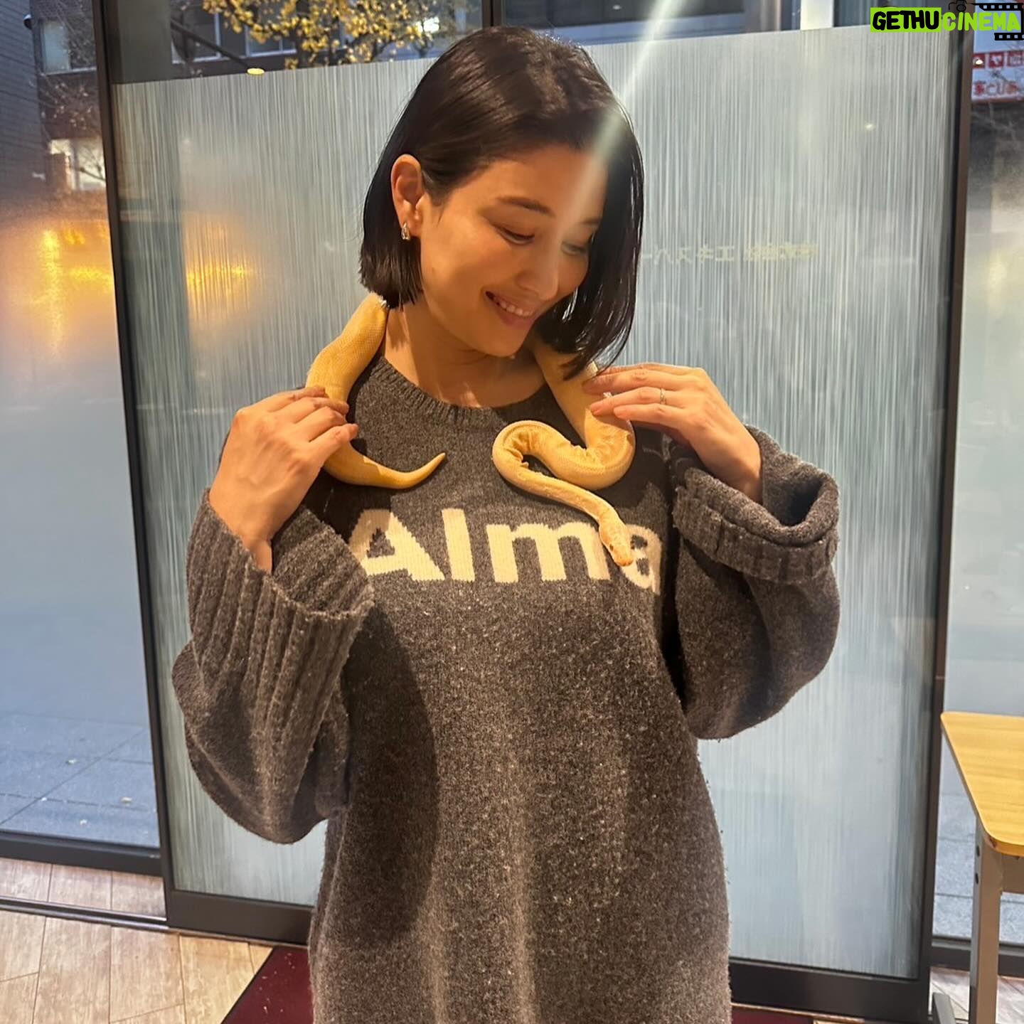 Manami Hashimoto - 8.4K Likes - 今年は40歳を迎え、第二子の誕生、お仕事の幅も広がり、私には贅沢すぎる一年でした。皆さんの応援も本当に本当にありがとうございました♪私を支えてくれる家族やスタッフ、お仕事でお世話になってる方々、来年も感謝を忘れず精進していきたいと思います。来年も宜しくお願いします。良いお年をお迎えください😊
#家族で温泉にきました #昨日はお友達と餅つきしました #来年の干支、蛇も首に巻かせてもらったので来年もいいことあります様に
