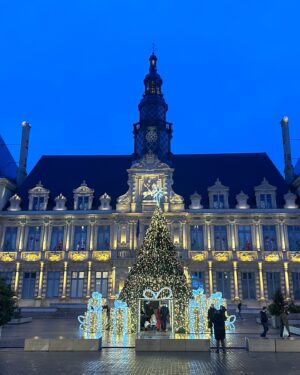 Maria Bekatorou Instagram - La vie est belle à Paris…
La vie est belle à Reims… #noël #paris #reims #joyeuxvoyageurs #parisjetaime #lavieestbelle #lavieenrose