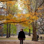Marimar Vega
