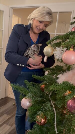 Marine Le Pen Instagram - Prêts pour Noël ! ☺️