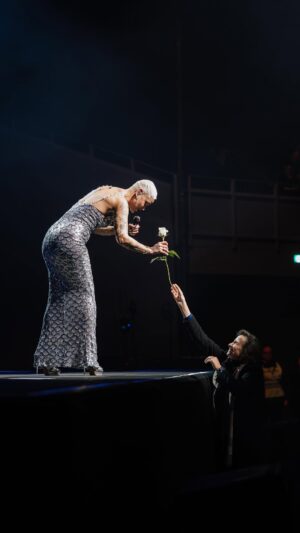Mariza Instagram - Porto, que forma incrível de encerrar este capítulo e abrir portas para um novo ano cheio de sonhos. 
Uma belíssima celebração da música, de mais de 25 anos de carreira e de tudo o que construímos juntos em 2024.
Obrigada por fazerem parte desta jornada, que 2025 seja tão mágico quanto estas noites que partilhamos. ⭐️

🎥 @luismoreira.lm