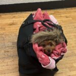 Mckenna Grace