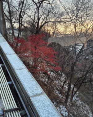 Mel Lisboa Instagram - Seul - Coreia. Dezembro, 2024. Rolo #2 

#Seul #seoul #coreia #korea #familia #ferias #holidays
