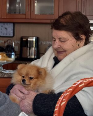 Melyssa Pinto Instagram - No tengo post navideño porque sinceramente no lo preparé, pero si tengo algunas fotitos que me hice ayer y otras con mi abuela que es el motivo principal de volver a la terrinha siempre! Al final, venir a Portugal es igual a família y eso también es la navidad…así que, FELIZ NAVIDAD mis vidas! Que paséis unos días llenos de amor con los vuestros y Santa os traiga muchos regalitos pero sobre todo mucha salud, amor y compañía 🫂❤️

Gracias @okmobility por una vez más colaborar conmigo y hacer que me sienta libre de estar de casa en casa visitando a la familia con mi cochecito ✨