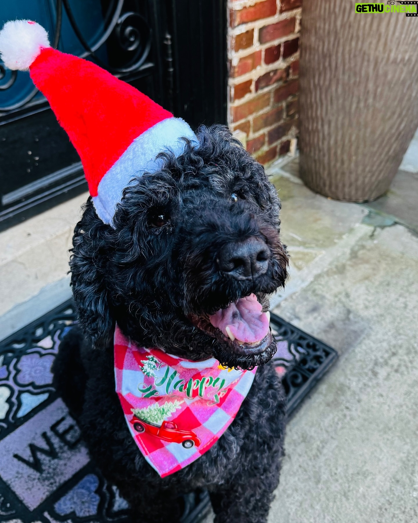 Michelle Obama - 240.2K Likes - Merry Christmas! One of the best parts of the holiday season is spending time with our loved ones and giving thanks for all of life’s blessings. Wishing you and your family a happy and healthy start to the new year.