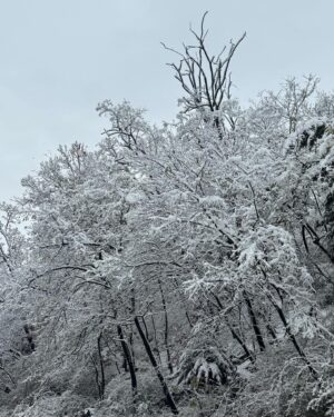 Min-seo Instagram - 우히히!!
첫 눈 구경하러 혼커 타임…☕️☃️❄️🤍