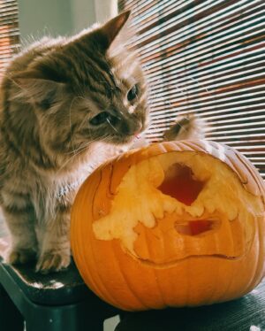 Miya Cech Instagram - traveling back to van after a quick trip home but still fit in a lil halloween 🎃 #sukuna #jujutsukaisen