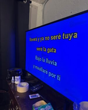 Mon Laferte Instagram - Querido 2024, gracias por todas las cosas buenas que me diste a mi y a mis seres queridos, también gracias por las enseñanzas, hubo dolores de corazón, un par de llantos y locura, pero aprendí mucho.  Este 2025 quiero ser mejor mamá, dejar de fumar, hacer yoga todos los días, hacer el mejor disco de mi vida, escribir muchos poemas, leer más libros, estar más tiempo en casa, ser mejor artista, mas creativa, mejor amiga, mejor pareja, cuidar mejor mis plantitas, preocuparme más por mi mamá, ir a Japón, tocar mejor el piano, aprenderme un poema de memoria, bailar tango, comer saludable, bajar ese par de kilitos que gané al ser mamá, contestarle el wasap a mis amigos, reír más, llorar más, no juzgarme, ser mejor amiga, aprender inglés, hacerme el skincare todos los días, soltar el TOC, bajar la ansiedad, silencio, más silencio, aprender a estar sola, cuidarme y ojalá por fin, aprender a amarme. 
les deseo mucho amor a todos, que este 2025 sea mejor. Adiós mi amor 2024, gracias.