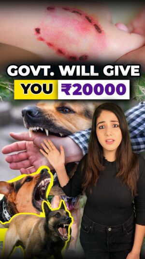 Monica Malik Instagram - Government announces compensation for stray dog bites. Watch the video to know more 🎥🐕‍🦺

#compensation #dog #dogbite #doglover #govt #government #court #order #newrules #doglovers #finance #financetips #reelsvideo 

[compensation, dog, dogbite, doglover, govt, government, court order, newrules, doglovers, finance, finance tips, reelsvideo]