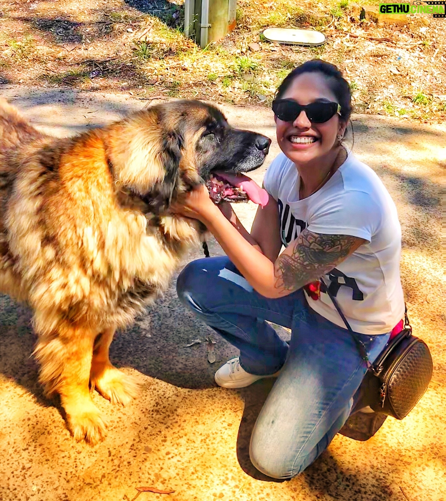 Mumtaz Sorcar - 3 Likes - Have a pawsitive day… 😄🐶