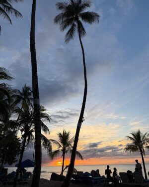 Naomi Watts Instagram - A perfect vacation in the sun. Thank you Barbados!! 🇧🇧 ♥️🏝️☀️🍹