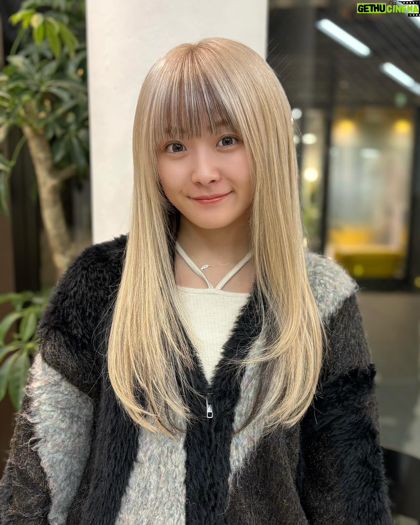 Natsumi Maki - 7.8K Likes - 年内ラストの美容院をハシゴ🪜
12.29に向けてのヘアカラーは、ベースも少しベージュをいれて、前髪にインナーカラーで茶色を入れてもらいました✨
めっちゃお気に入り♡
カットカラー @hitoshi0825 さん!
エクステ @yuhouse_yamashiro さん!
今年もありがとうございました✨
2025年はどんなカラーにしようかなぁ〜
#natsupoi #なつぽい #stardom