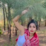 Neerutty