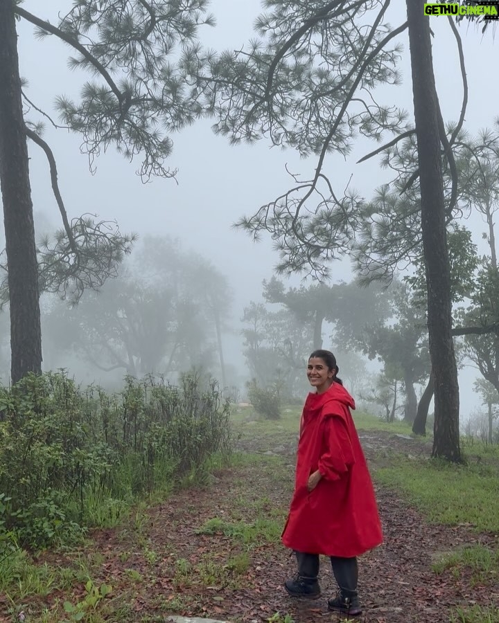 Nimrat Kaur - 45.1K Likes - Bookmarking some chapters from the year gone by. A mix of first times, memories for a lifetime and raw adventures. But at their core, all carrying only shades of love, wonderment and pure gratitude. Thank you 2024 for all things quiet, crazy, still and hazy…♥️🧿