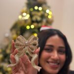Nivetha Pethuraj