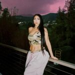 Paloma Mami