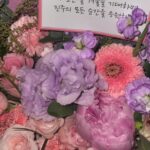 Park Jin-joo