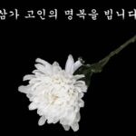 Park Na-rae