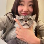 Park Shin-hye