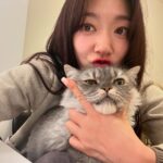 Park Shin-hye