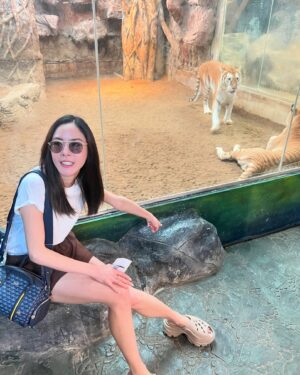 Pattarasaya Kreursuwansiri Instagram - ประทับใจน้องๆน่ารัก น่าเอ็นดูสุดๆ อากาศก็ดี๊ดี😍👏🏻🦏🦒🦥🦓🦘🦩 #chiangmainightsafari