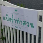 Phatchara Thabthong