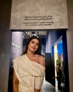 Actress Priyanka Chopra HD Photos and Wallpapers December 2024