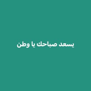 Rasha Rizk Instagram - 
